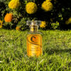 Era Elegance – Inspired by Tommy Girl | A Fresh & Playful Floral-Fruity Fragrance